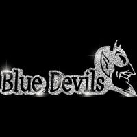 GLT17 SILVER GLITTER Thumbnail