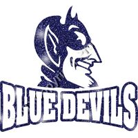 GLT32 BLUE GLITTER Thumbnail